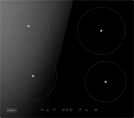 Induktionsfeld Reparatur Stralsund